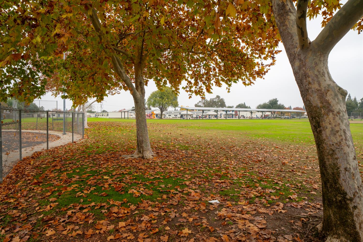 1721 Beverly Ave, Clovis, CA 93611