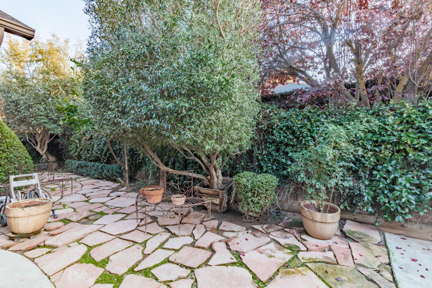 3664 Vermont Ln, Clovis, CA 93619