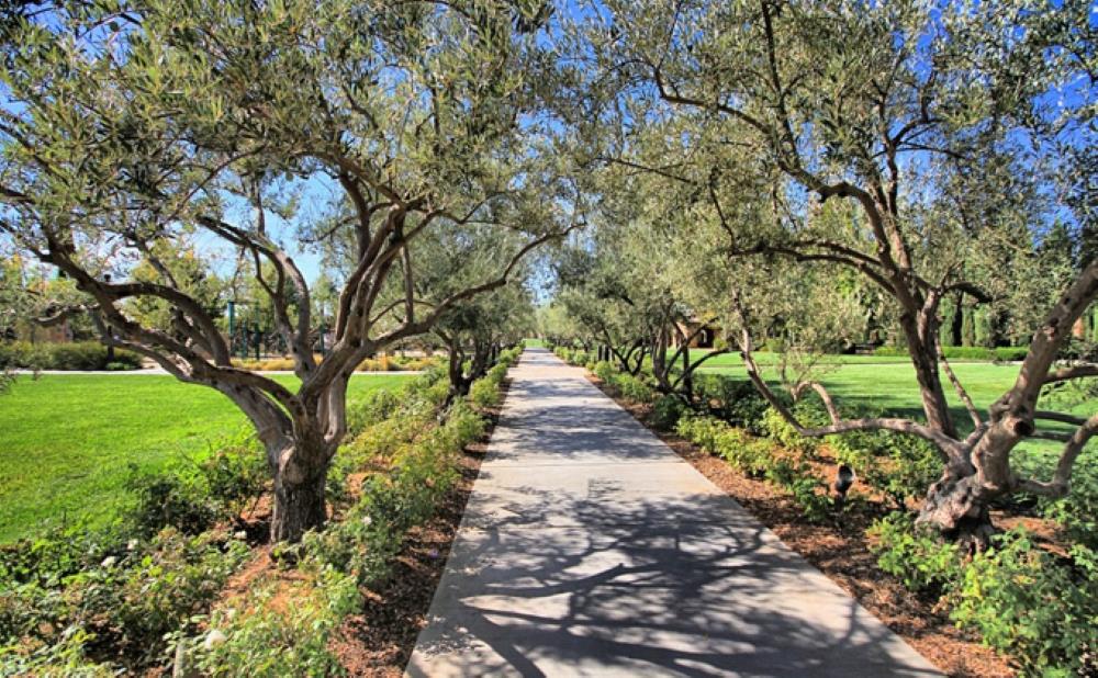 3544 Prescott Ave, Clovis, CA 93619