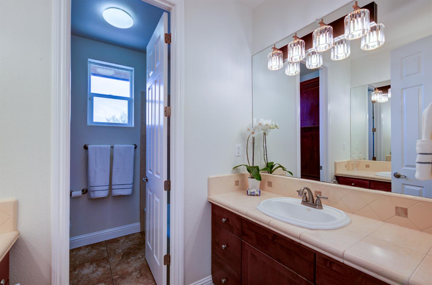 13209 E Falcon Meadow Ln, Clovis, CA 93619