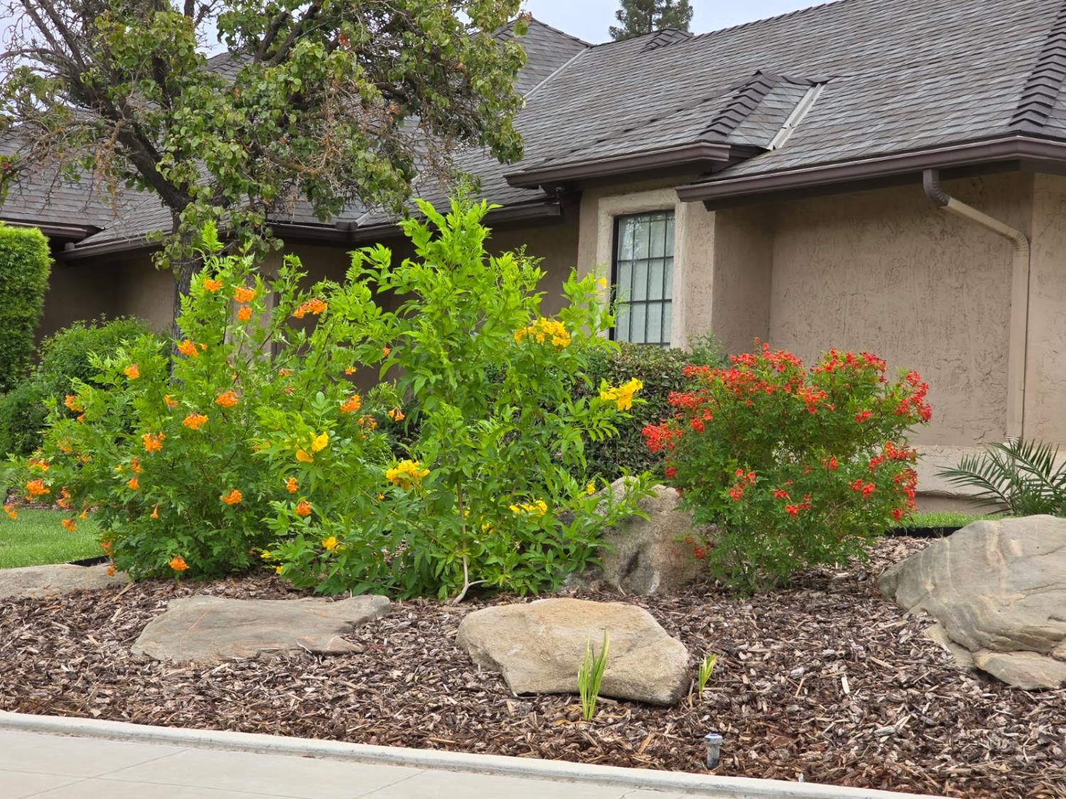 288 W Paul Ave, Clovis, CA 93612